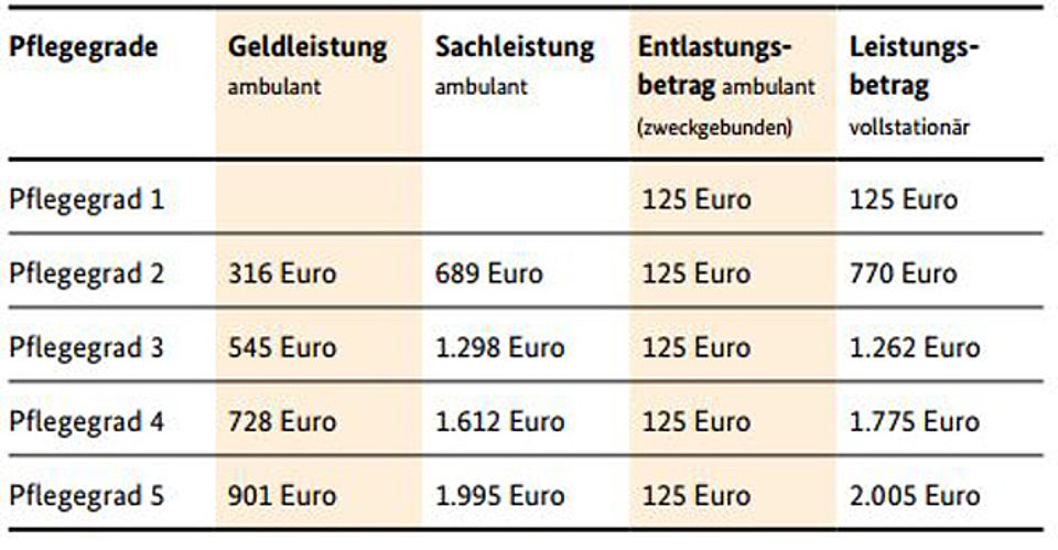 Übersicht Pflegegrade